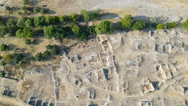 Ancient City Discovery